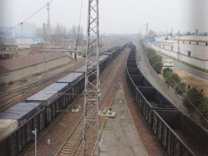 Fot. Gary Todd from Xinzheng, China / Wikimedia Commons