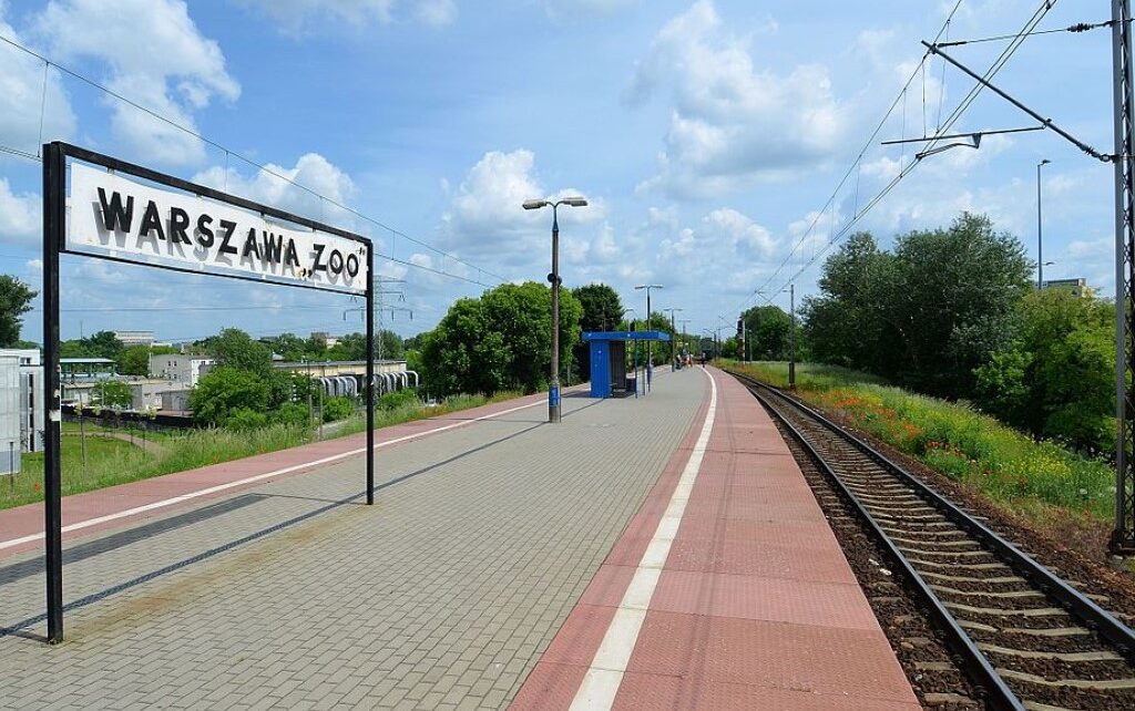 Fot. ilustracyjne / Wikimedia Commons