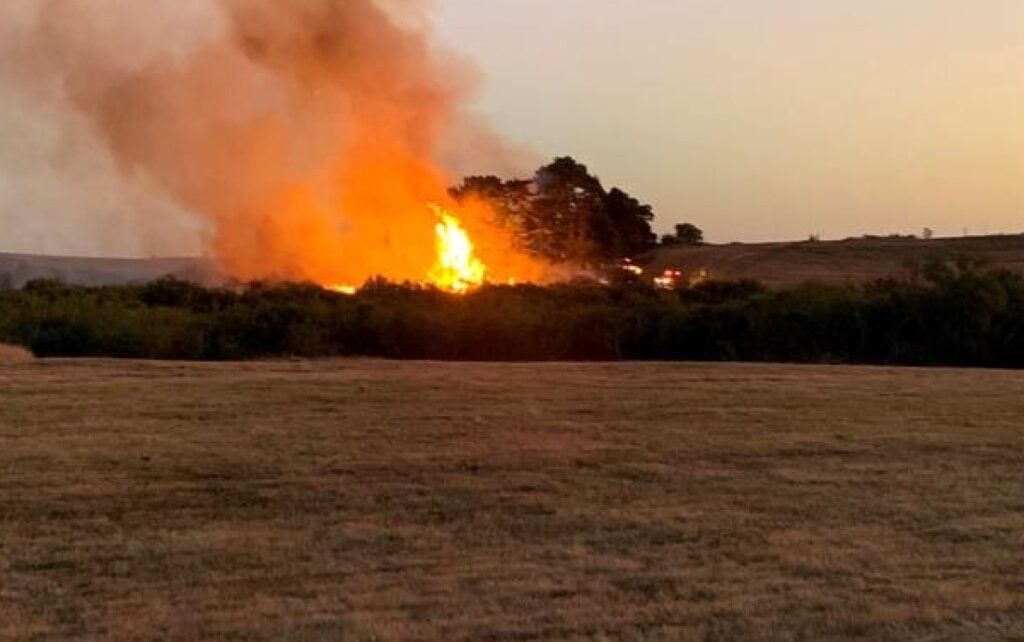 Fot. Fire and Emergency NZ