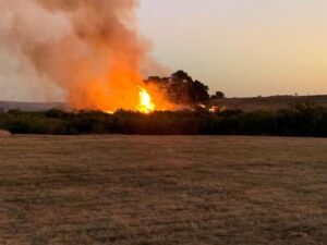 Fot. Fire and Emergency NZ