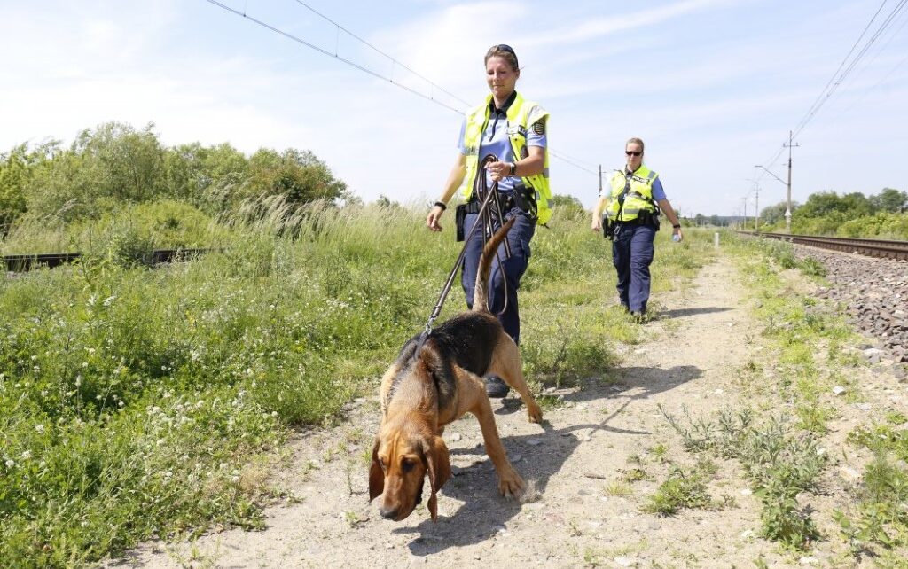 Fot. policja.pl