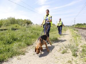 Fot. policja.pl