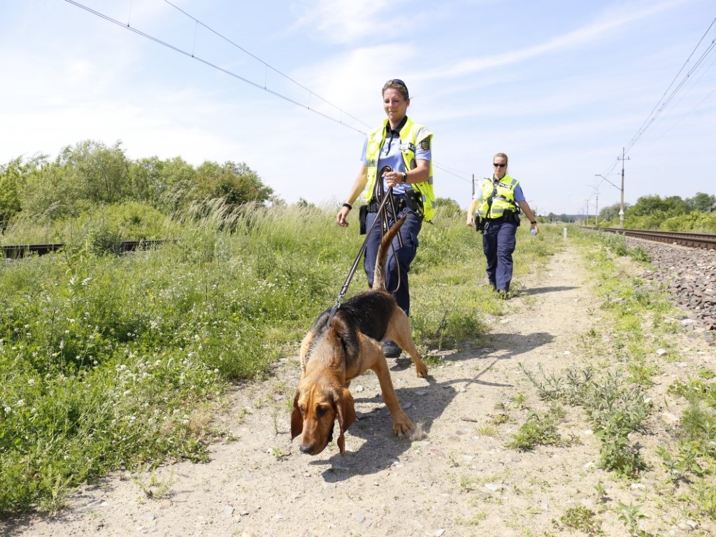 Fot. policja.pl