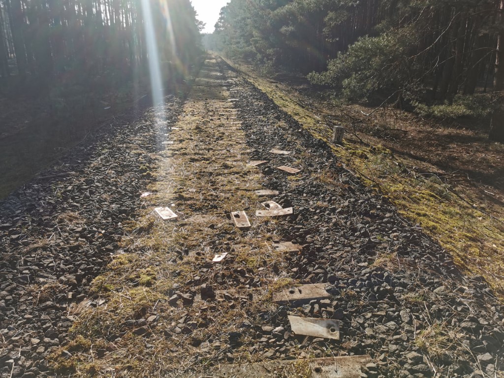 Taki widok zastali członkowie TPWP na jednotorowej linii kolejowej (fot. Paweł Gajdzica)