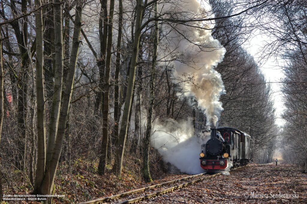 Kolejka wąskotorowa na leśnej trasie (fot. Mariusz Senderowski / SGKW)
