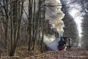 Kolejka wąskotorowa na leśnej trasie (fot. Mariusz Senderowski / SGKW)