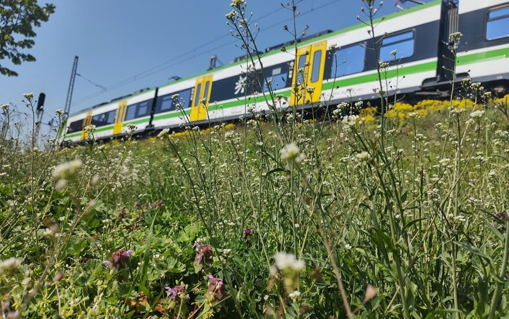 Fot. Koleje Mazowieckie