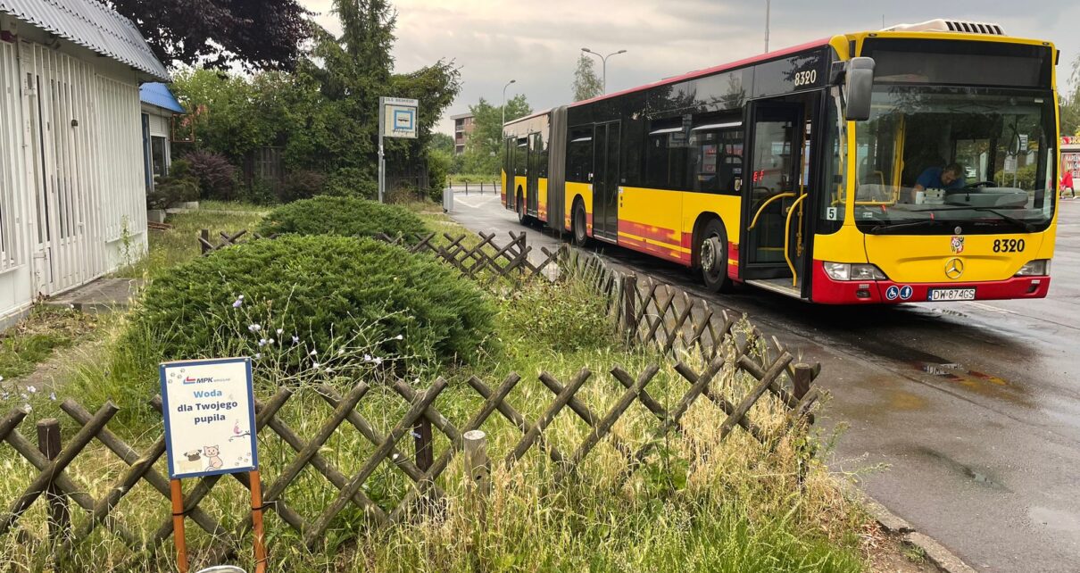 Miski z wodą na wrocławskich pętlach tramwajowych i autobusowych (fot. MPK Wrocław)