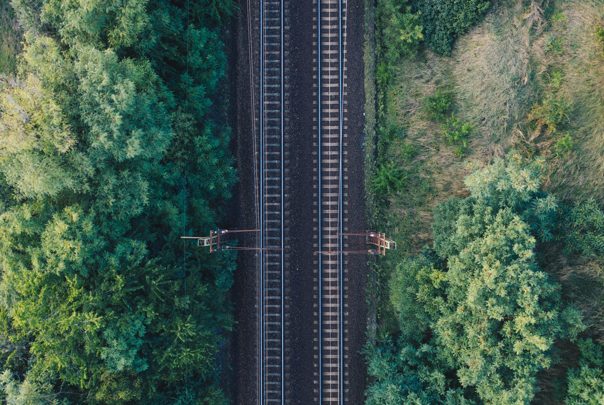 Fot. Bence Balla-Schottner/ unsplash.com
