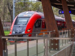 fot. Szymon Zdziebło/tarantoga.pl dla UMWKP