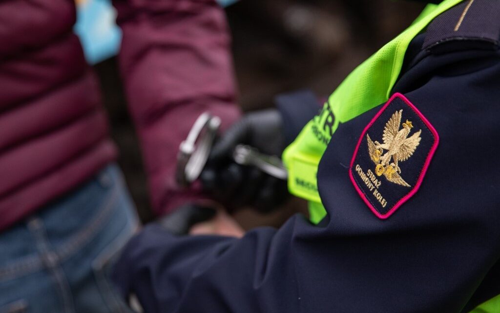 Fot. Straż Ochrony Kolei