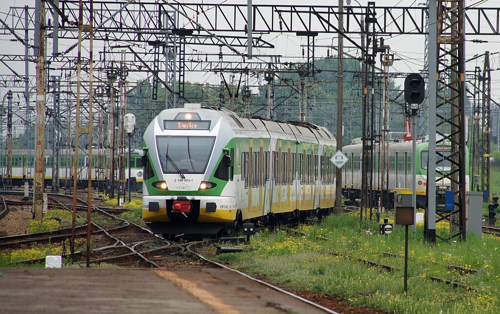 Fot. Mateusz Włodarczyk / Wikimedia Commons