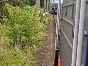 Fot. nadesłane / archiwum