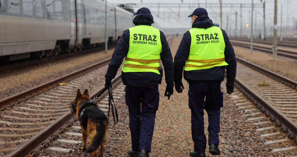 Patrol Straży Ochrony Kolei w trakcie pracy (fot. SOK)