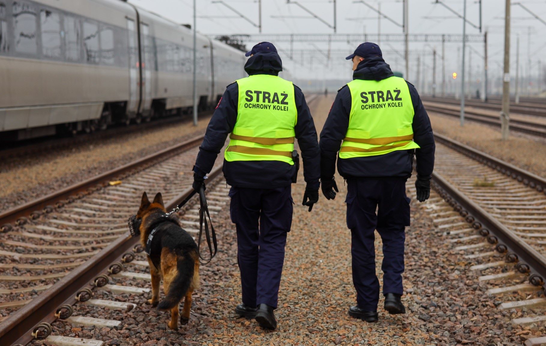 Patrol Straży Ochrony Kolei w trakcie pracy (fot. SOK)