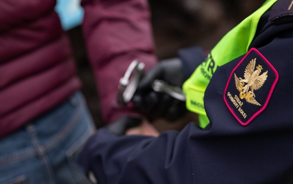 Straż Ochrony Kolei zatrzymała agresywnego pasażera (fot. SOK)