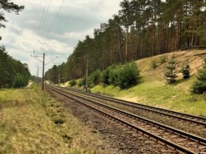 Spółka PKP PLK ogłosiła przetarg na wycinkę drzew oraz utworzenie pasów przeciwpożarowych przy torach w woj. dolnośląskim. (fot. PKP PLK)