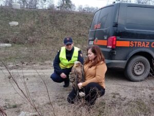 Funkcjonariusze SOK uratowali rannego bielika (fot. SOK)