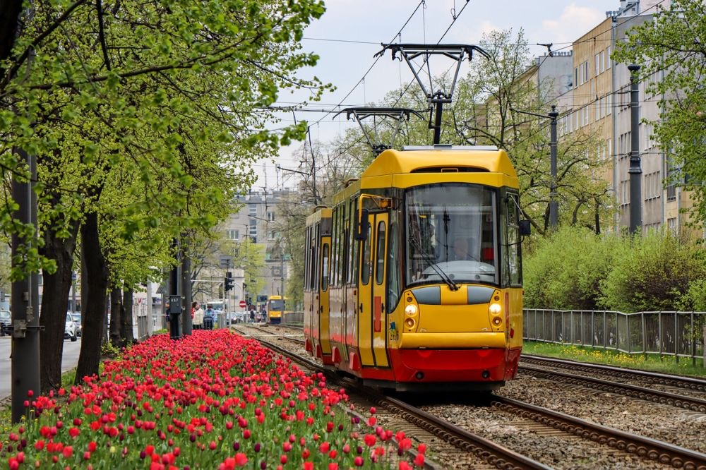 Fot. nafdesłane